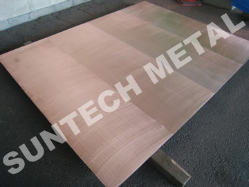 Trung Quốc Explosion Bonded 316L Copper Clad Tubesheet for Corrosion Resistance nhà cung cấp